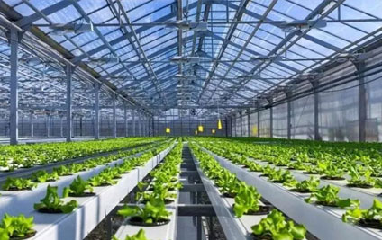 喜報(bào)！山東省設(shè)施園藝智慧農(nóng)業(yè)裝備重點(diǎn)實(shí)驗(yàn)室獲批